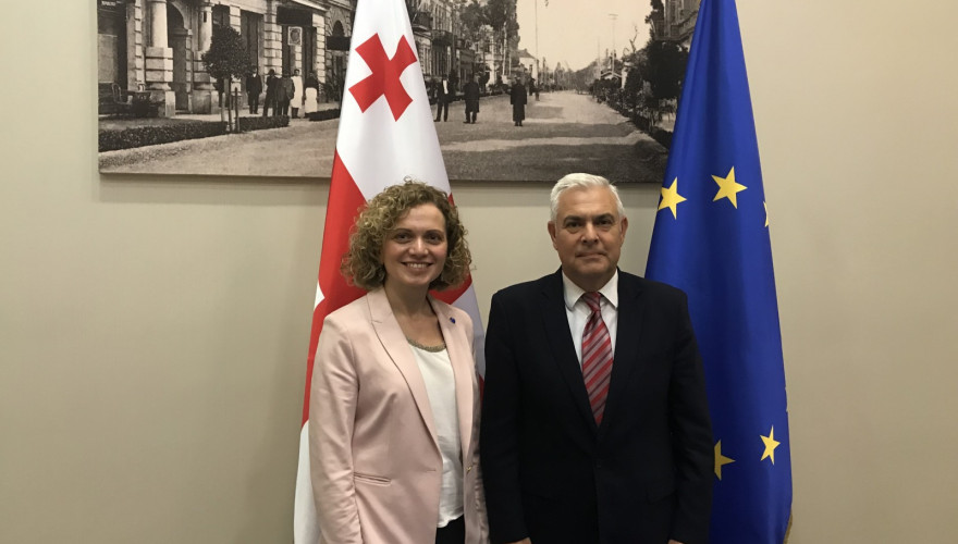 The meeting of Tamar Khulordava with the Chair of the Committee on European Affairs of Chamber of Deputies of Romanian Senate