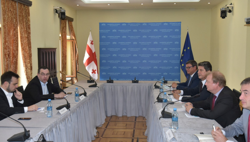 Meeting of the Faction \"European Georgia\" members with the PACE Monitoring Committee Rapporteurs