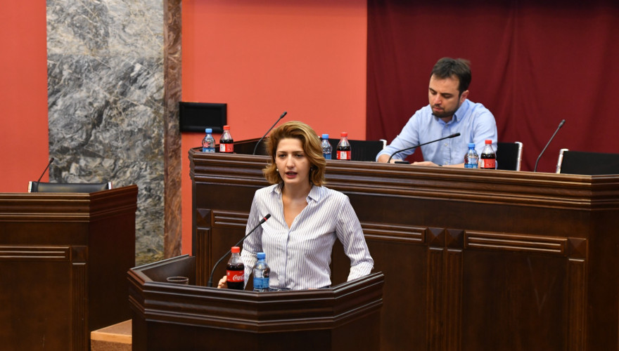 Meeting of Opposition MPs with NGO Representatives