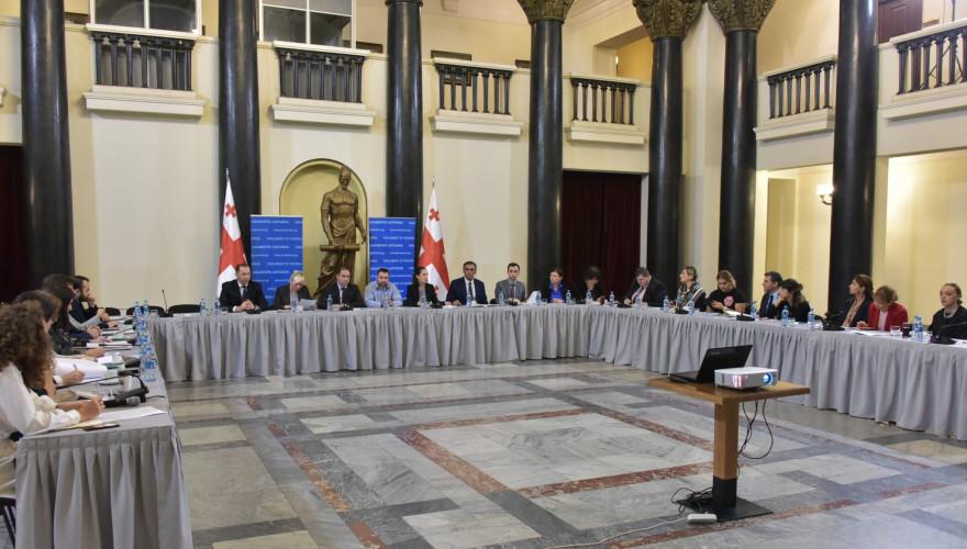 ირინე ფრუიძე: „უახლოეს მომავალში პარლამენტის ღიაობასთან დაკავშირებით ბევრი სიახლე გვექნება, რომელიც ხელს შეუწყობს მოქალაქეთა უფრო აქტიურ ჩართულობას საპარლამენტო საქმიანობაში” 