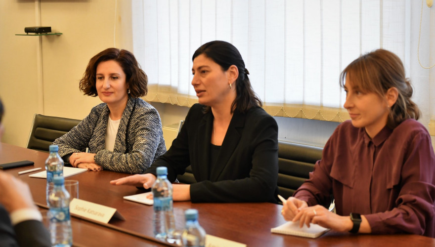 The meeting of Sophio Katsarava and Irina Pruidze with the Head of the Eastern Partnership Department of the Foreign Affairs Ministry of Austria, Katharina Weiser