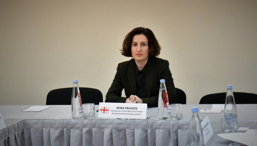 Irine Pruidze: Georgian Parliament is globally distinguished in terms of openness and transparency