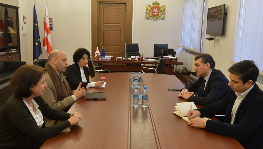 The meeting of Mikheil Kavelashvili with the UNICEF Representative