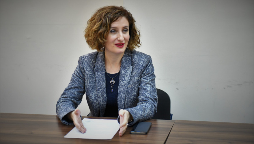 Meeting of Irina Pruidze with Delegation of the US Congress House of Representatives, HDP