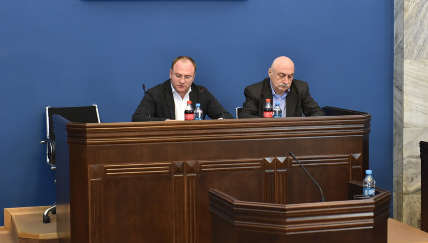 გაერთიანებულ სხდომაზე ოკუპირებულ ტერიტორიებზე ჯანმრთელობის დაცვის სფეროში არსებულ გამოწვევებზე იმსჯელეს