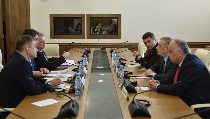 Meeting of Members of Faction \"Georgian Dream\" with Members of Monitoring Committee of PACE