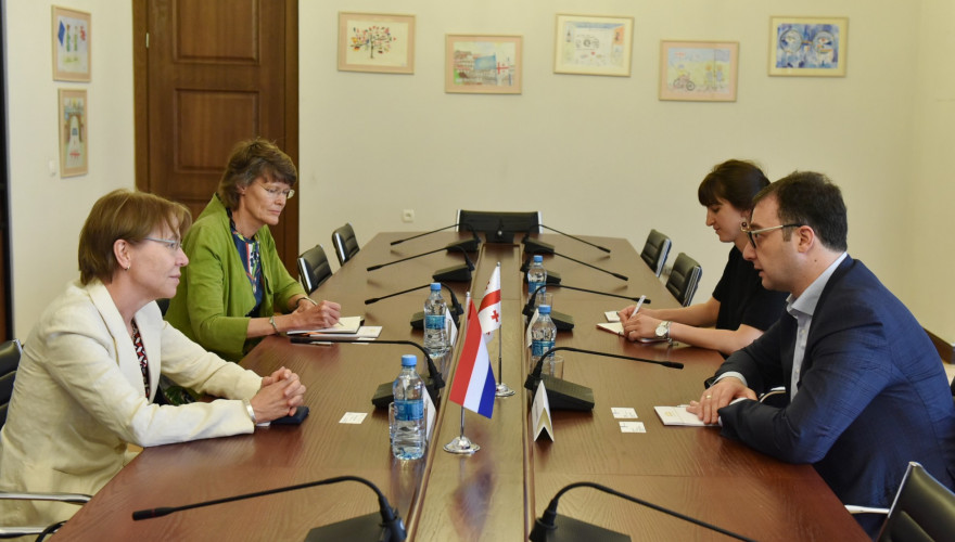 The meeting of David Songulashvili with the Ambassador of the Netherlands
