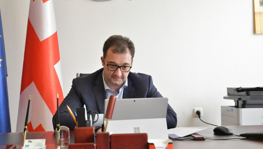The video meeting of David Songulashvili with Mairead McGuinness