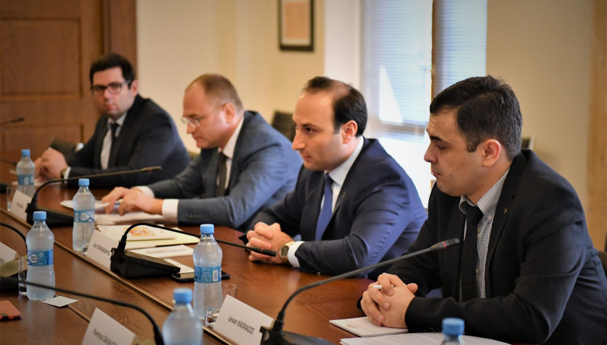 The meeting of Anri Okhanashvili and Irakli Beraia with the representatives of the OSCE/ODIHR Needs Assessment Mission