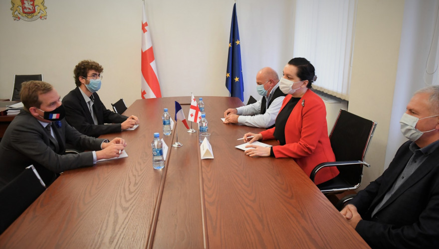 The meeting of the Chair of the Faction “Our Georgia – Independent MPs”, Mariam Jashi with the Ambassador of France