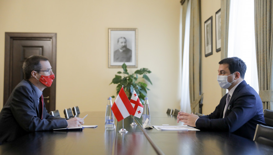 Meeting of Archil Talakvadze with Ambassador of Austria