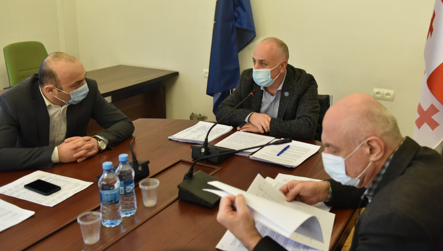 Dimitri Khundadze: Healthcare and Social Issues Committee will endorse the State Budget 2021