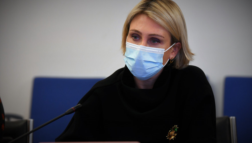 ნინო წილოსანი გარემოს დაცვისა და სოფლის მეურნეობის მინისტრის მოადგილეს შეხვდა