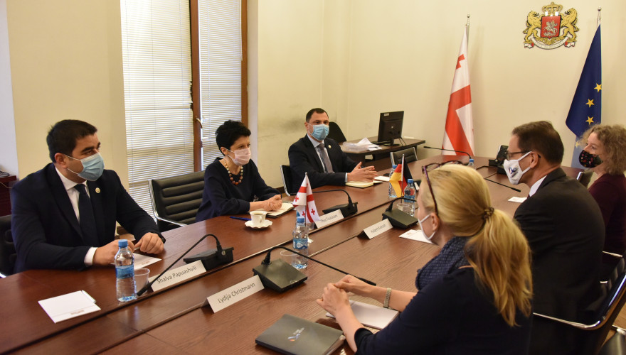 The meeting of Tea Tsulukiani with the Ambassador of Germany
