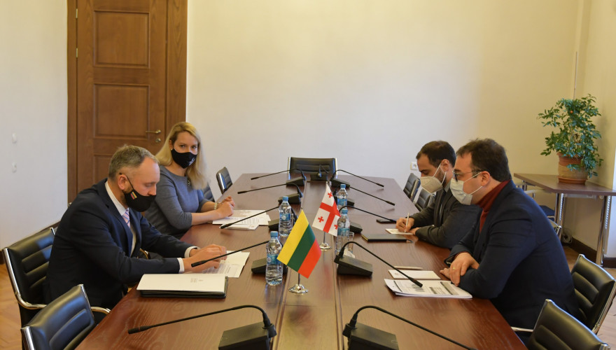 The meeting of David Songulashvili with the Ambassador of Lithuania