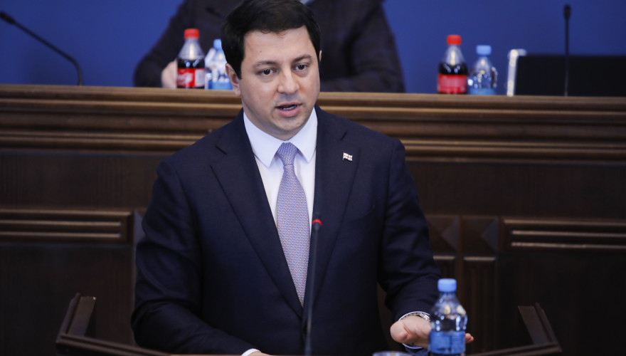 საგარეო ურთიერთობათა კომიტეტის სხდომა