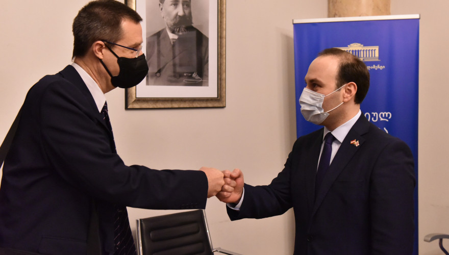 Meeting of Anri Okhanashvili with Ambassador of Austria