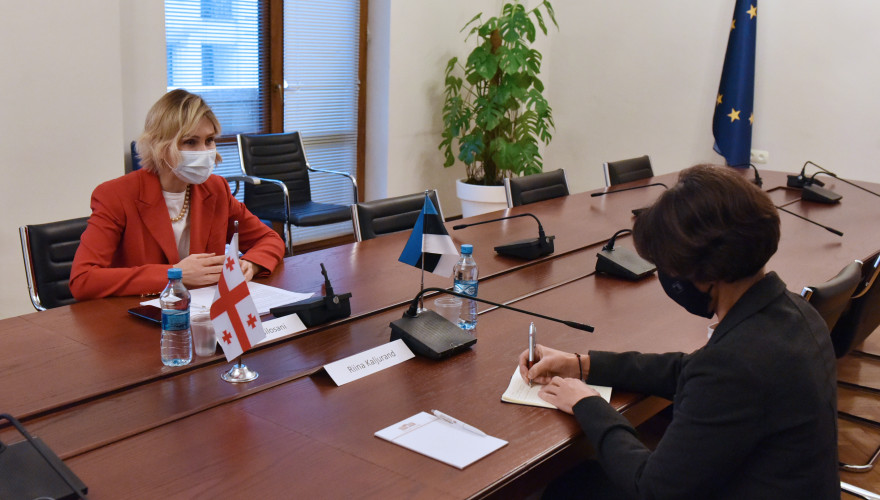 The meeting of Nino Tsilosani with the Estonian Ambassador