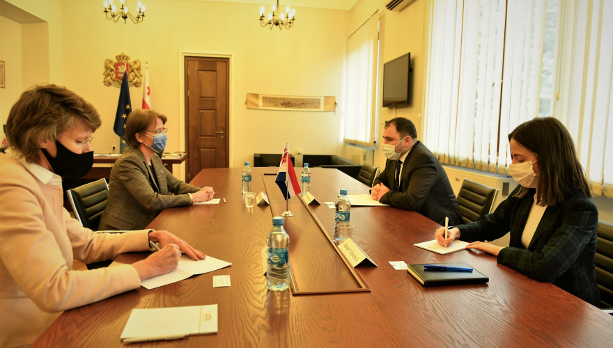 Meeting of Nikoloz Samkharadze with Maaike van Koldam