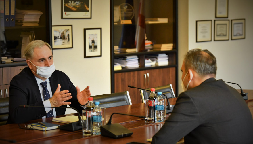 The meeting of Irakli Kovzanadze with the representative of the International Monetary Fund