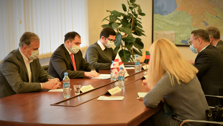 ნიკოლოზ სამხარაძე ჟიგიმანტას პავილიონისს შეხვდა