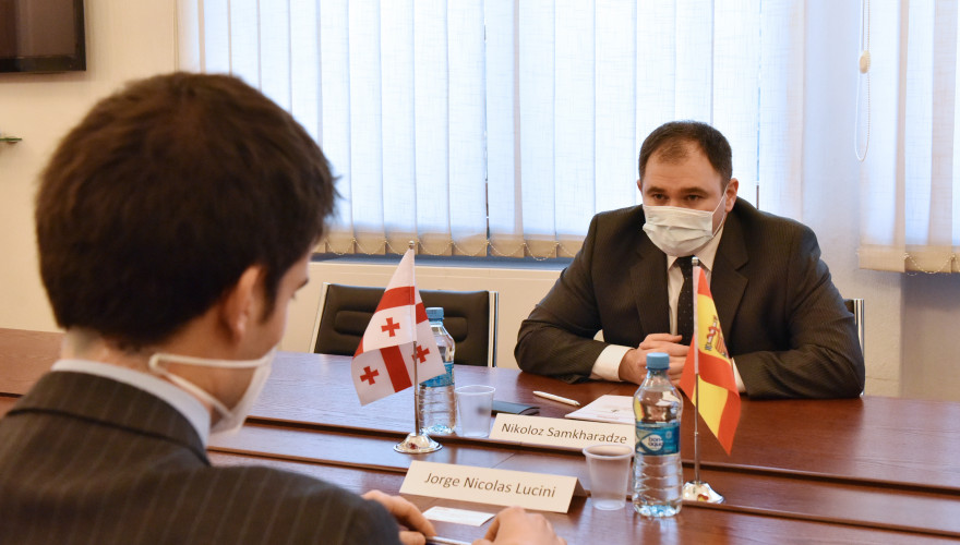 The meeting of Nikoloz Samkharadze with Jorge Nicolas Lucini Serrano de Haro