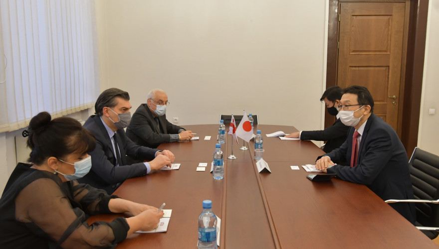 The meeting of Mikheil Kavelashvili with the Ambassador of Japan