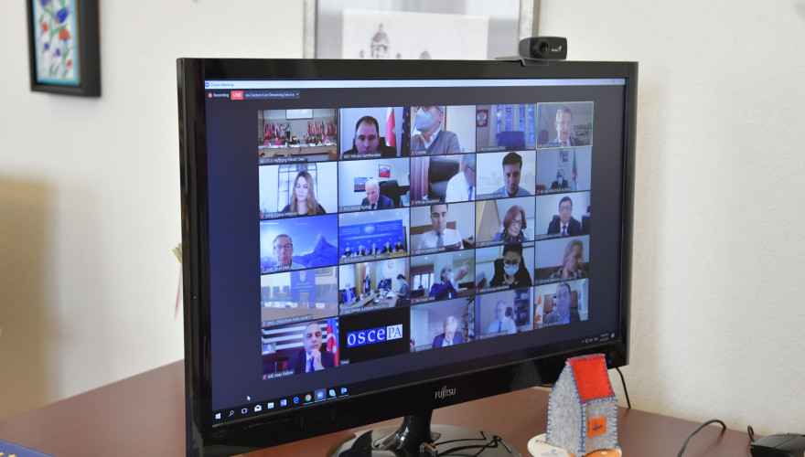 Parliamentary Delegation Participating in OSCE PA Winter Session