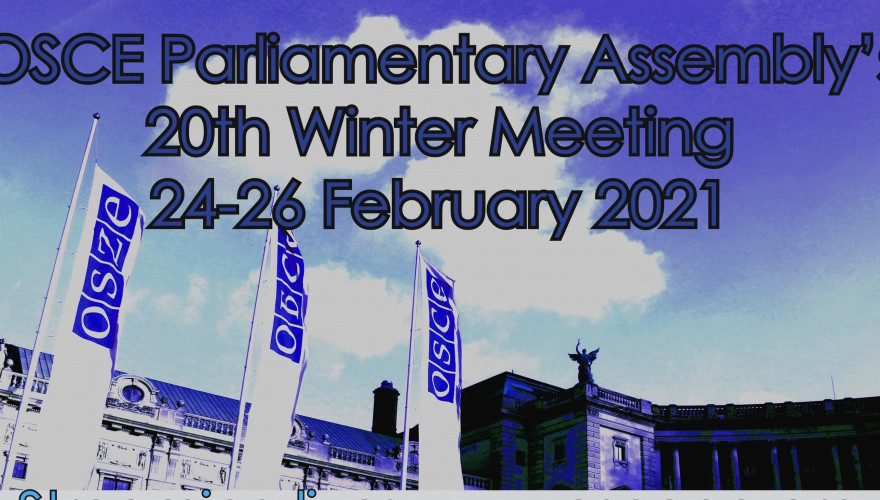 The Parliamentary Delegation participating in the OSCE PA Committee sitting