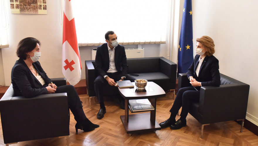 The meeting of Tamar Taliashvili with the Top Management of Sakpatenti