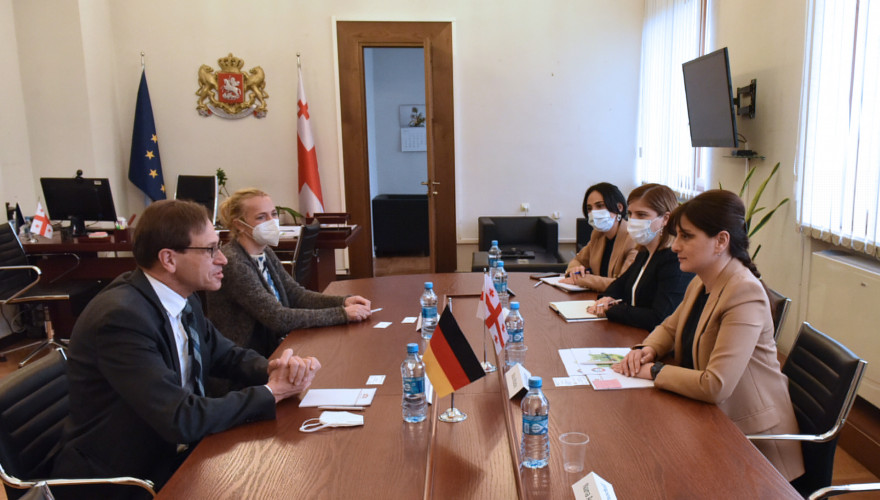 Meeting of Maia Bitadze with German Ambassador