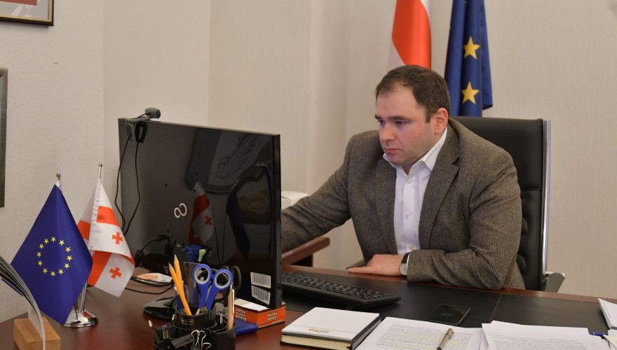 Nikoloz Samkharadze: "The Russian Federation continues to grossly violate human rights, including the rights of children in Abkhazia and the Tskhinvali region, thus trying to destroy our cultural heritage"