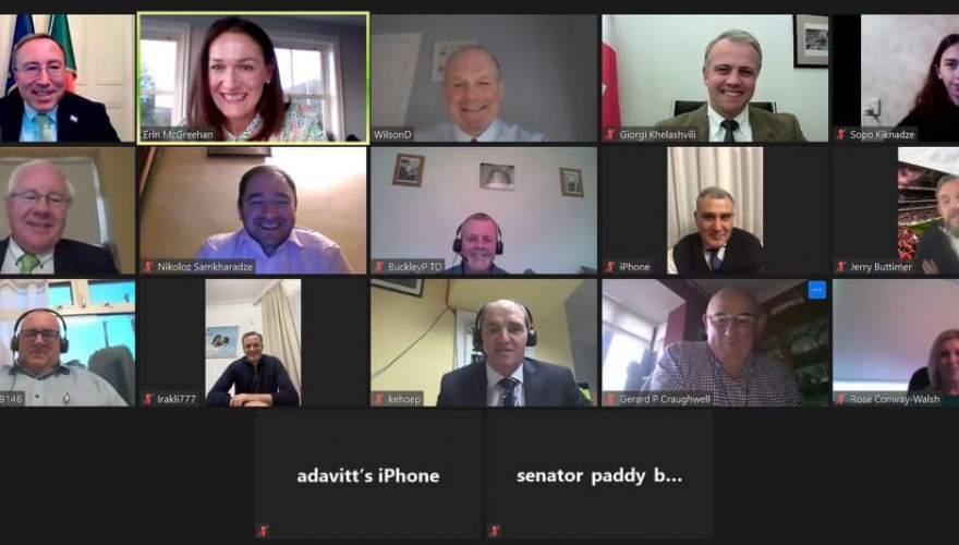 საქართველოს და ირლანდიის საპარლამენტთაშორისო მეგობრობის ჯგუფების ონლაინ შეხვედრა