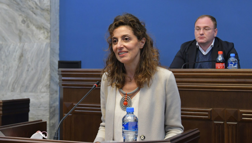 Irakli Beraia: Integration to NATO is the key priority of the security and foreign policy of Georgia and the value-based choice of our population