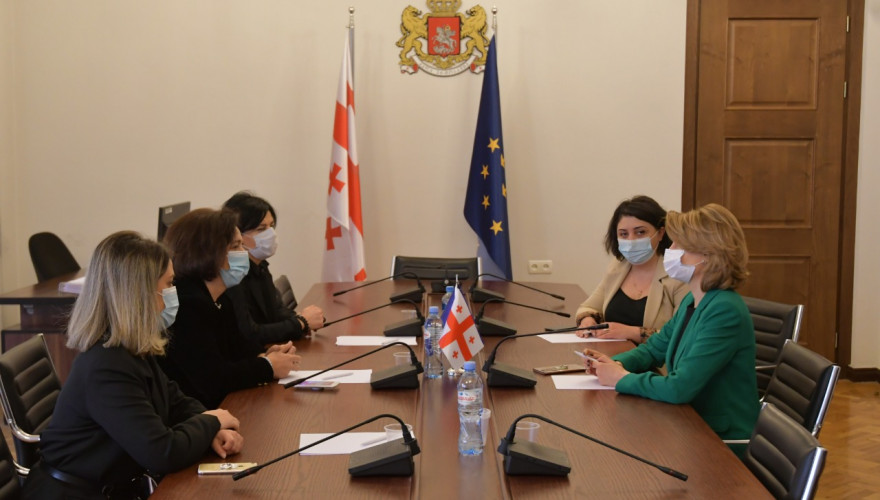 The meeting of Tamar Taliashvili with the representatives of the Children’s and Youth Education Center “Our Borjomi”