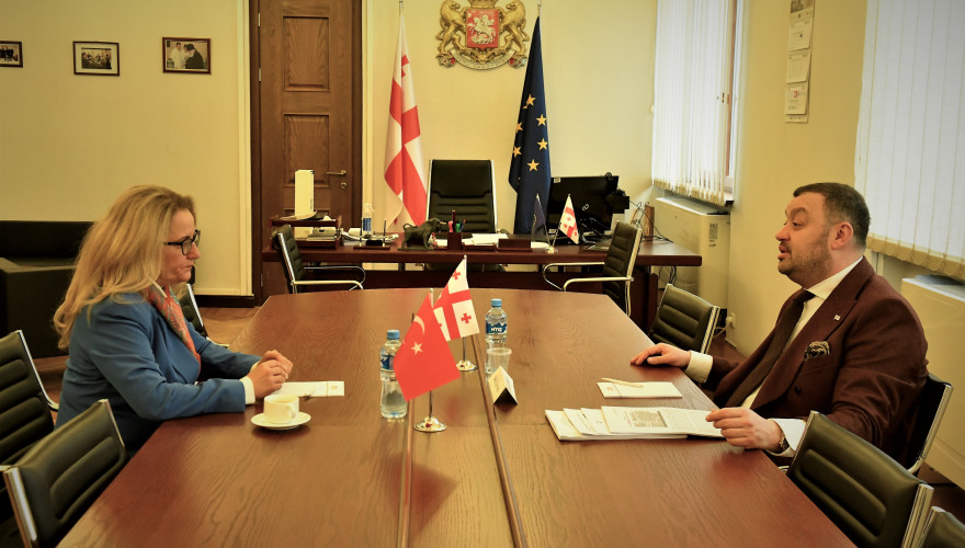 Meeting of Beka Odisharia with Ambassador Extraordinary and Plenipotentiary of the Republic of Turkey to Georgia, H.E Fatma Ceren Yazgan