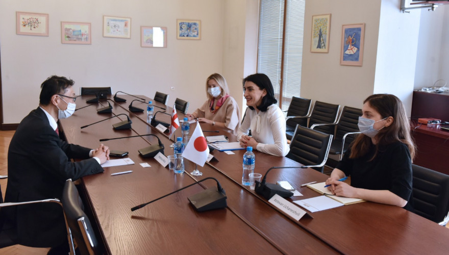 The meeting of Maka Bochorishvili with the Ambassador of Japan