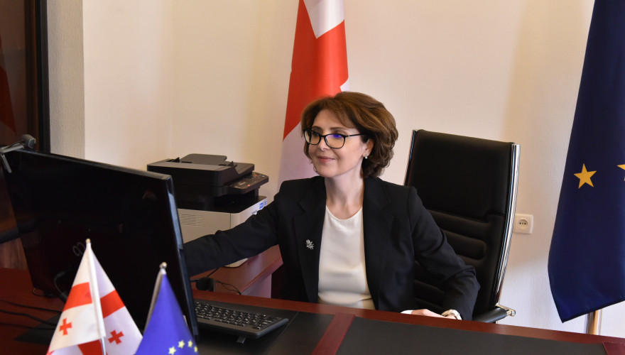 ელისო ბოლქვაძე სტუდენტური პარლამენტის წევრებს შეხვდა