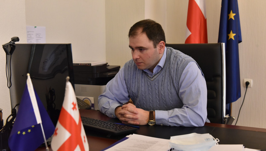 The meeting of Nikoloz Samkharadze with his Ukrainian counterpart