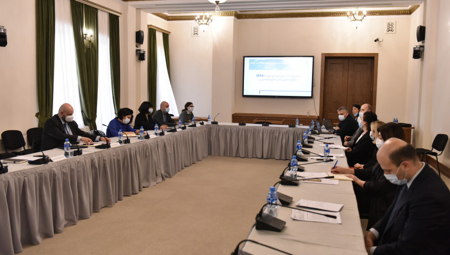 The Working Group discussed the accession of Georgia to SEPA