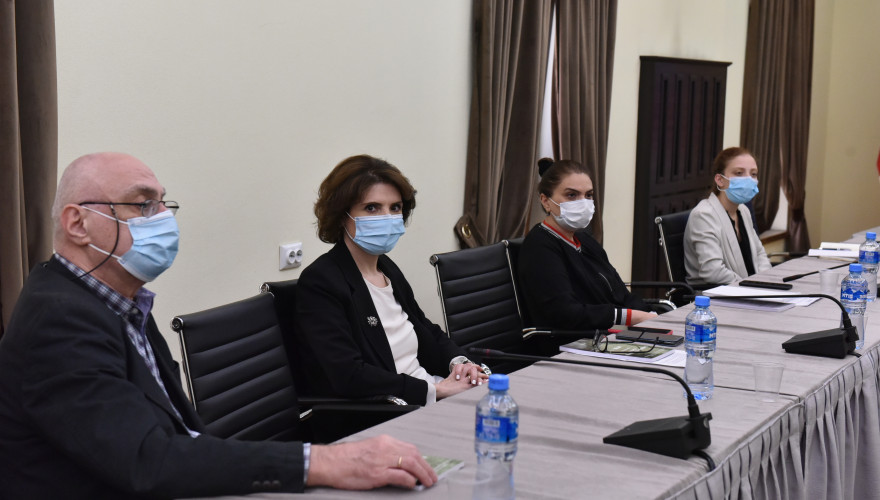 The meeting of Eliso Bolkvadze and Vladimir Kakhadze with the group of physicians
