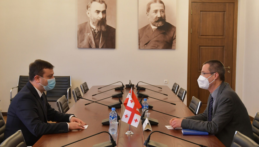 Meeting of Giorgi Khojevanishvili with Ambassador of Austria