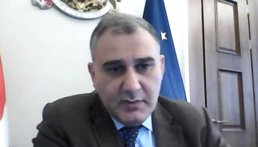 Mikheil Sarjveladze and Rati Ionatamishvili Participating in Online Conference on Rights of Persons with Disabilities
