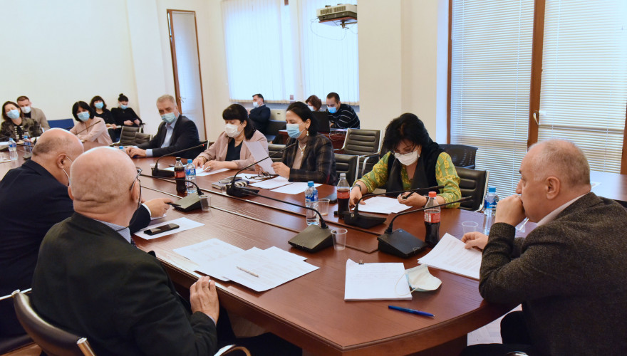 Sitting of Healthcare and Social Issues Committee