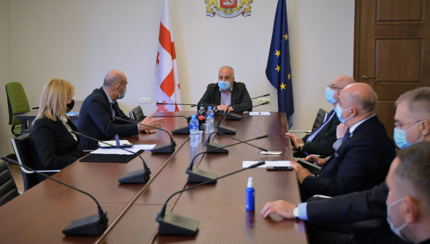 Healthcare and Social Issues Committee on Health and Social Conditions of People Residing in Occupied Territories of Georgia