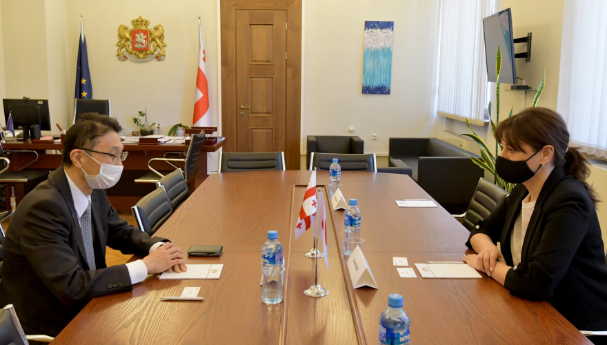 The meeting of Maia Bitadze with the Ambassador of Japan