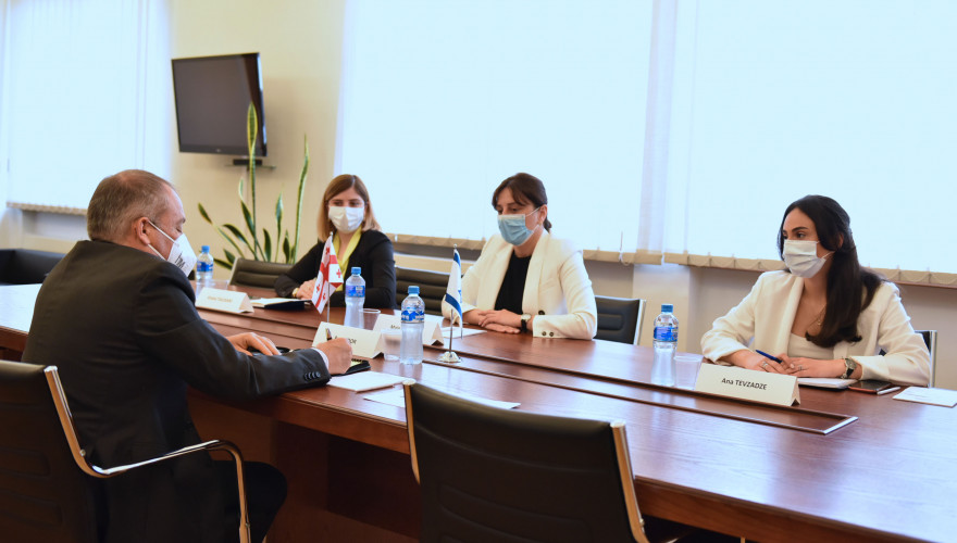 The meeting of Maia Bitadze with the Ambassador of Israel