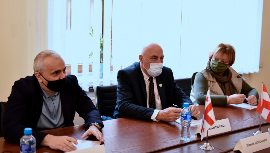 The meeting of Avtandil Enukidze with the Ambassador of Austria
