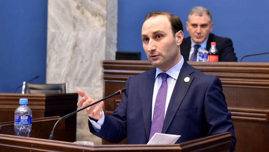 ადამიანის უფლებათა დაცვისა და სამოქალაქო ინტეგრაციის კომიტეტის სხდომა
