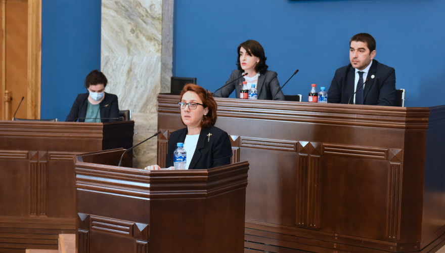 The joint sitting of the EU Integration and the Education and Science Committees